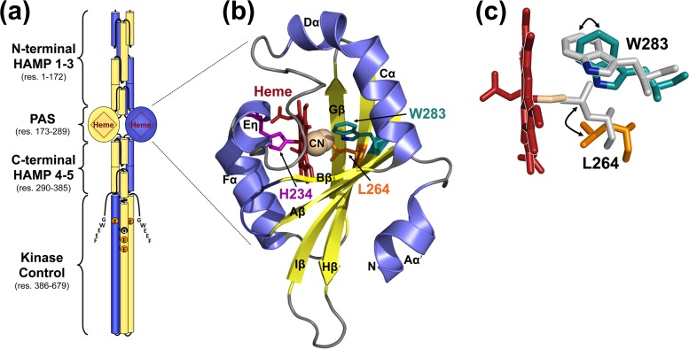 FIG 1