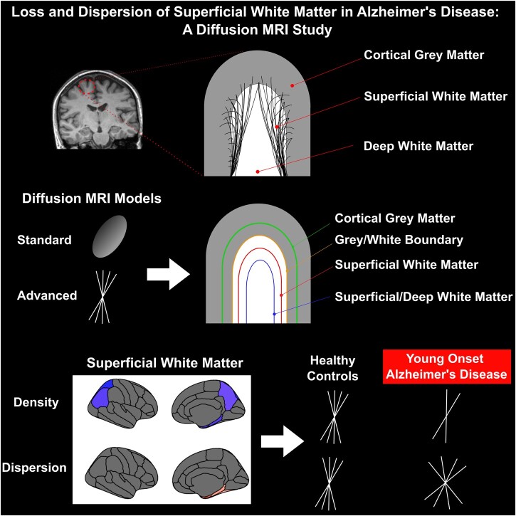 Graphical Abstract