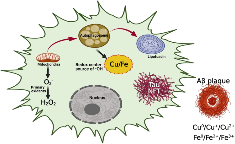 Figure 4