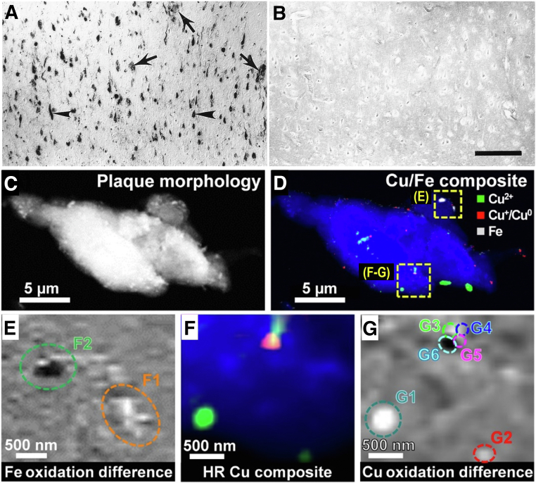 Figure 3