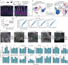 Extended Data 1,