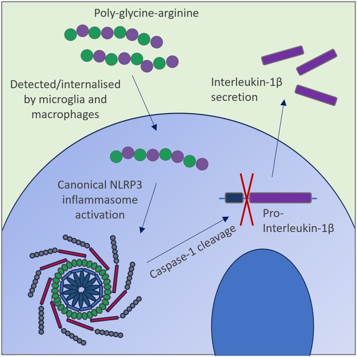 Graphical Abstract