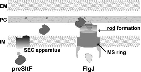 FIG. 6.