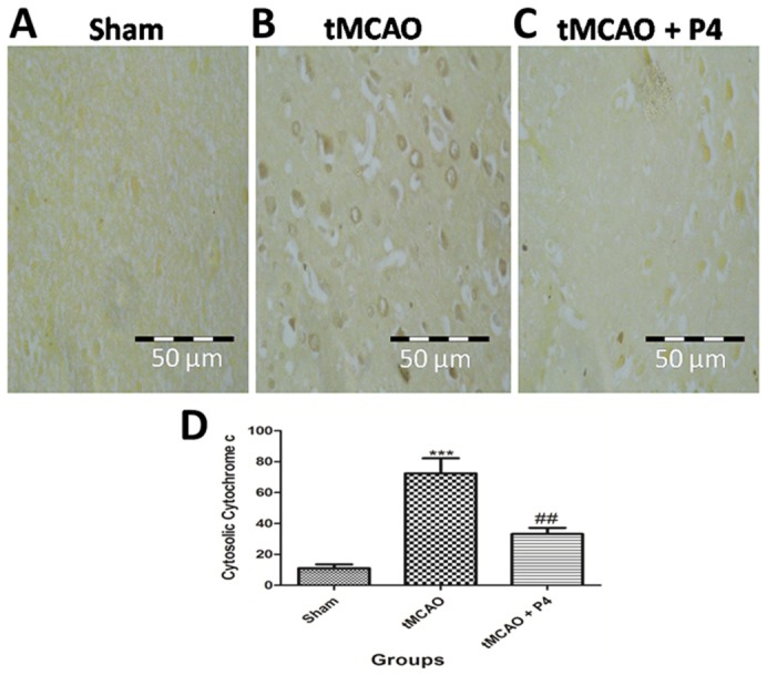 Fig. 8.