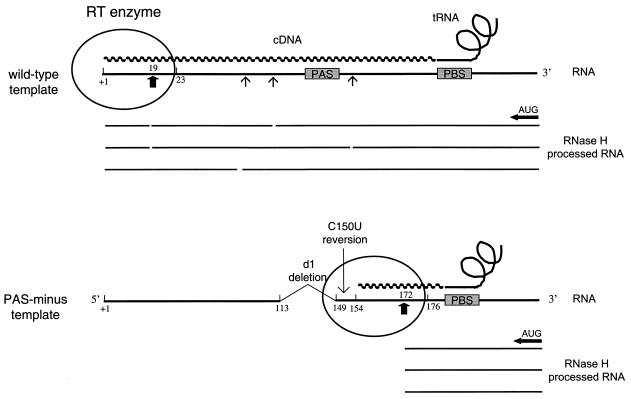 FIG. 7.