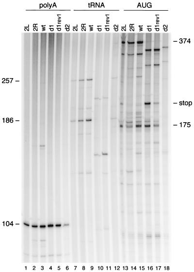 FIG. 5.