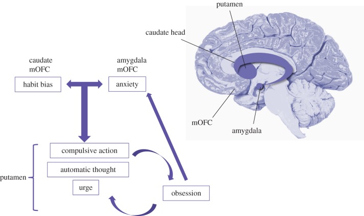 Figure 3.