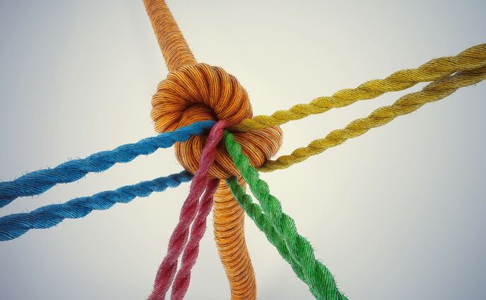 graphic file with name 12614_2021_169_Fig4_HTML.jpg