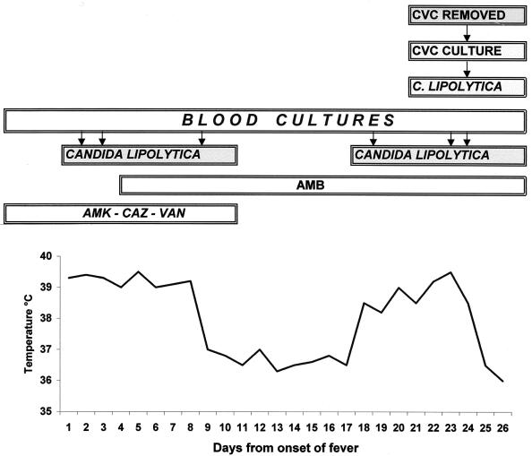 FIG. 1.