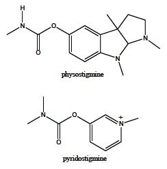 Fig. (9)