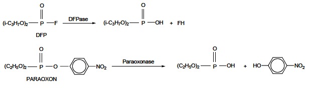 Fig. (21)