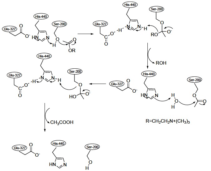 Fig. (3)