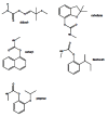 Fig. (7)