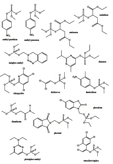 Fig. (12)