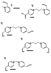 Fig. (17)