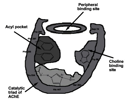 Fig. (2)