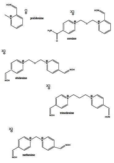 Fig. (17)