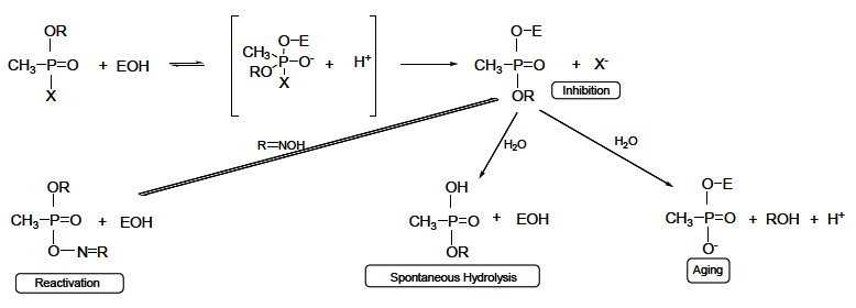 Fig. (6)