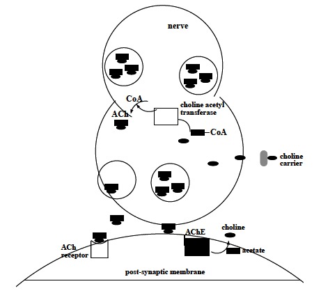 Fig. (1)