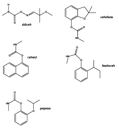 Fig. (7)