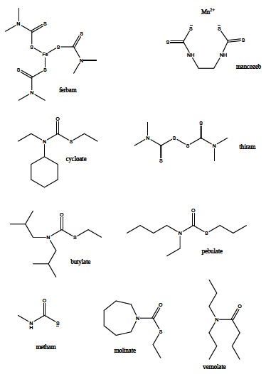 Fig. (8)