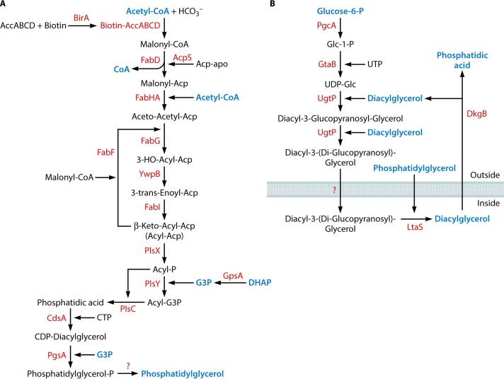 FIG 6