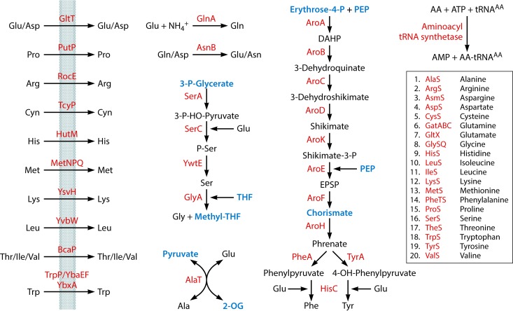 FIG 4