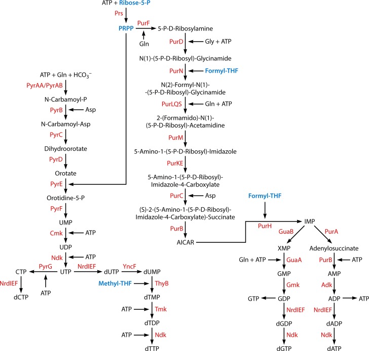 FIG 5