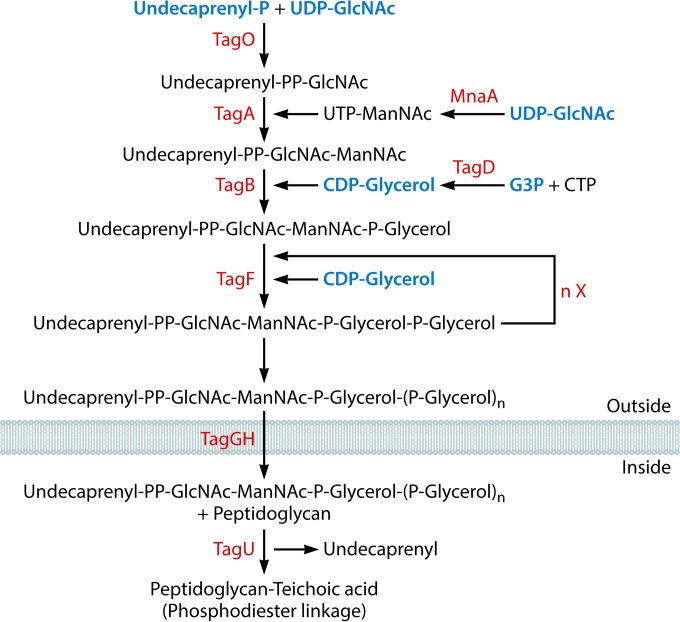 FIG 11