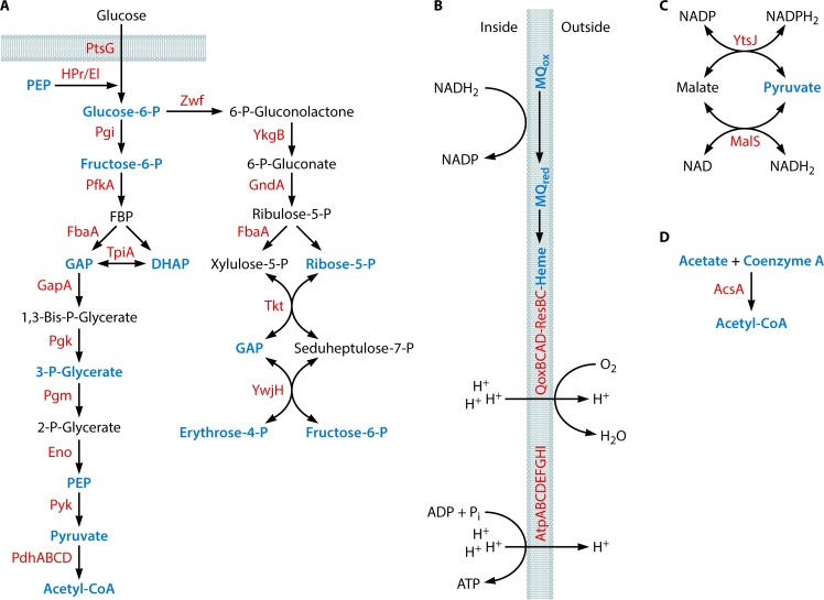 FIG 3