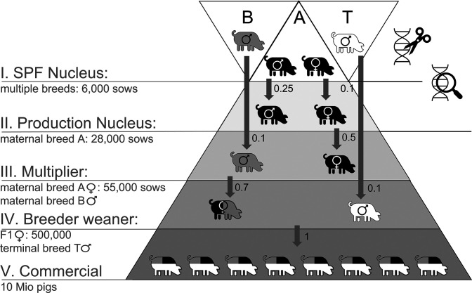 Fig. 4.