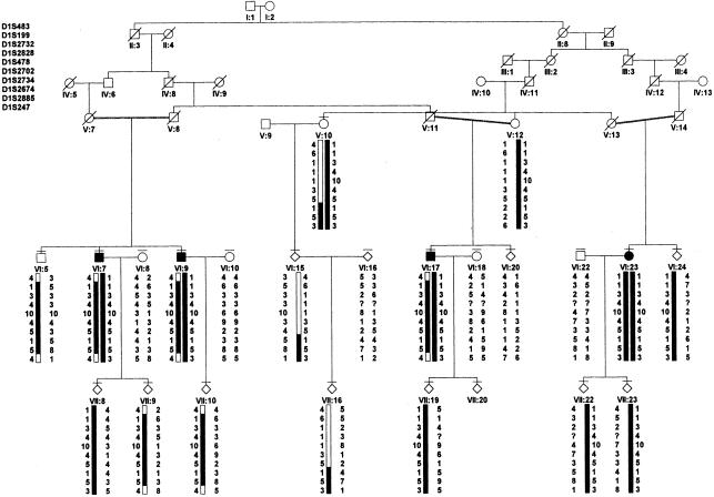 Figure  1