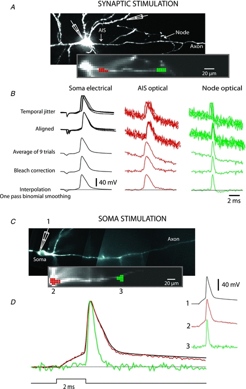 Figure 2