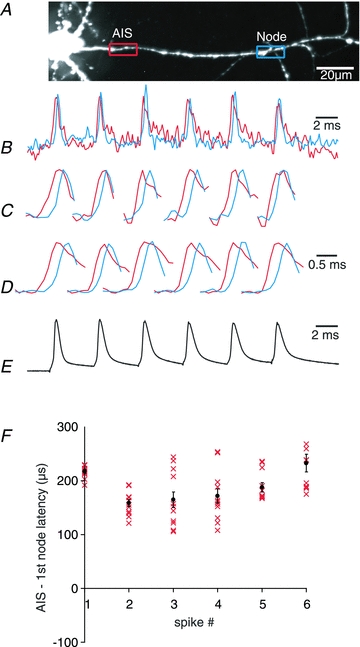 Figure 12