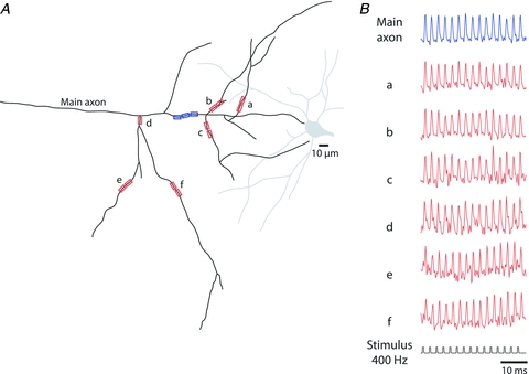 Figure 14