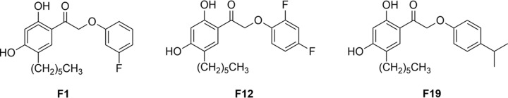 FIG 1