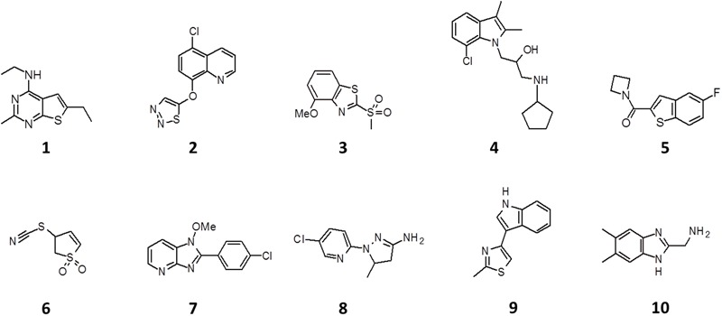 FIGURE 2