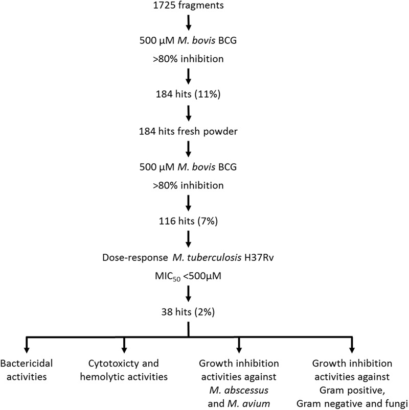 FIGURE 1