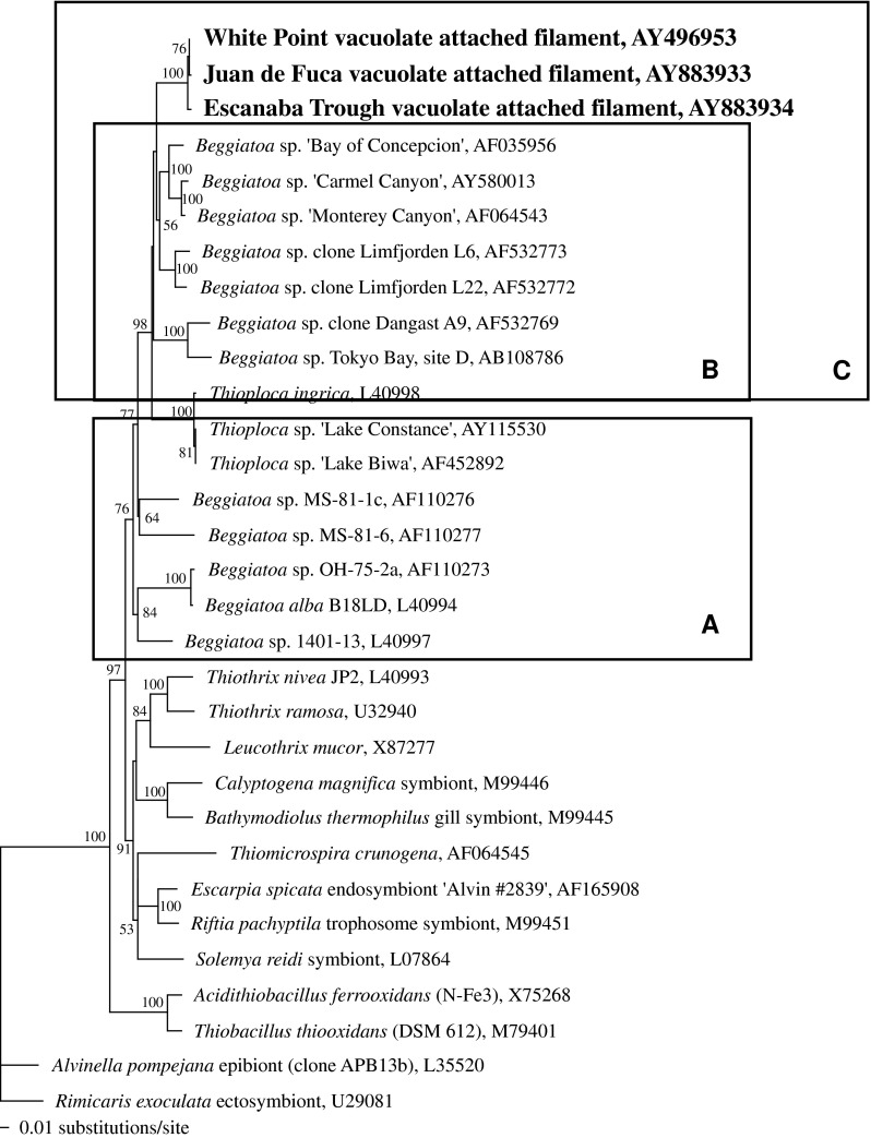 Fig. 3