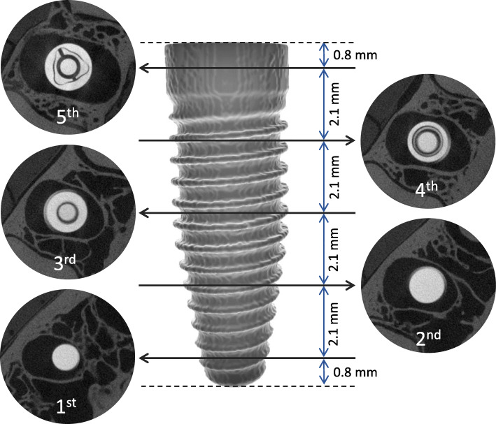 Fig. 2