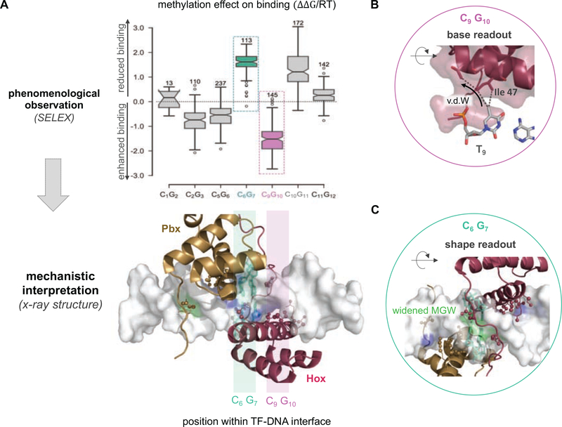 Figure 3: