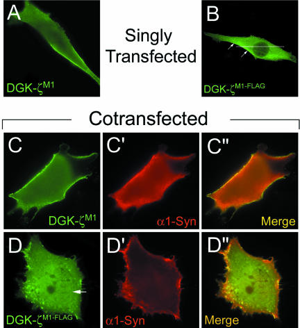 Figure 6.