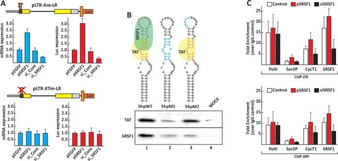 Figure 6.