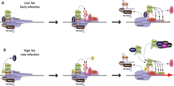 Figure 7.