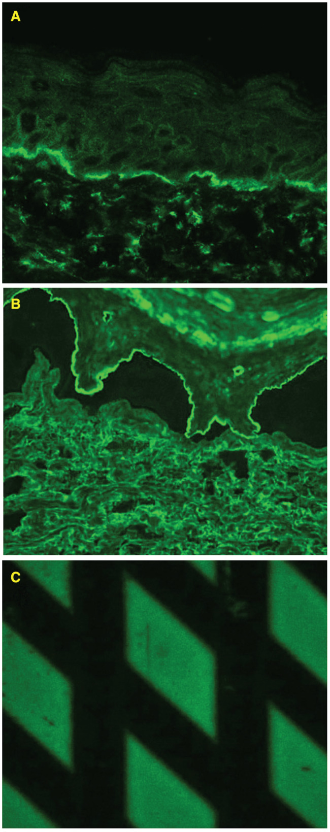 IWJ-12670-FIG-0002-c