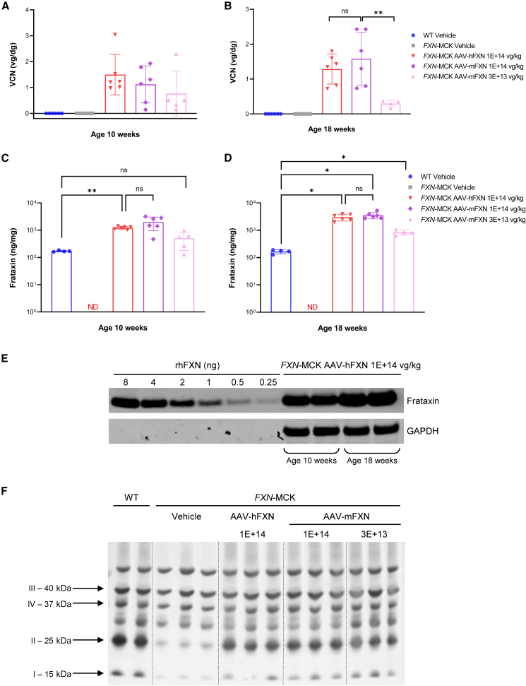 Figure 3