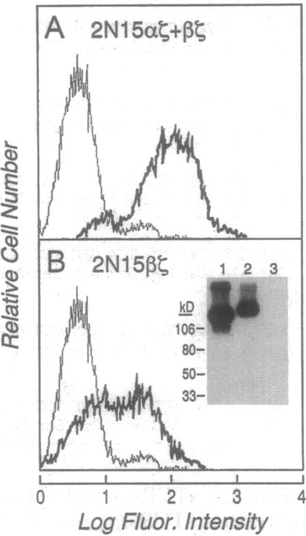 graphic file with name pnas01146-0136-a.jpg