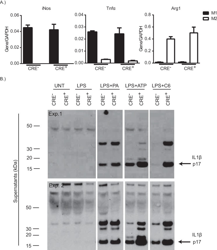 FIGURE 3.