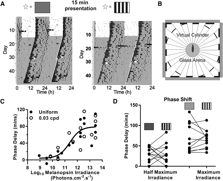 Figure 4