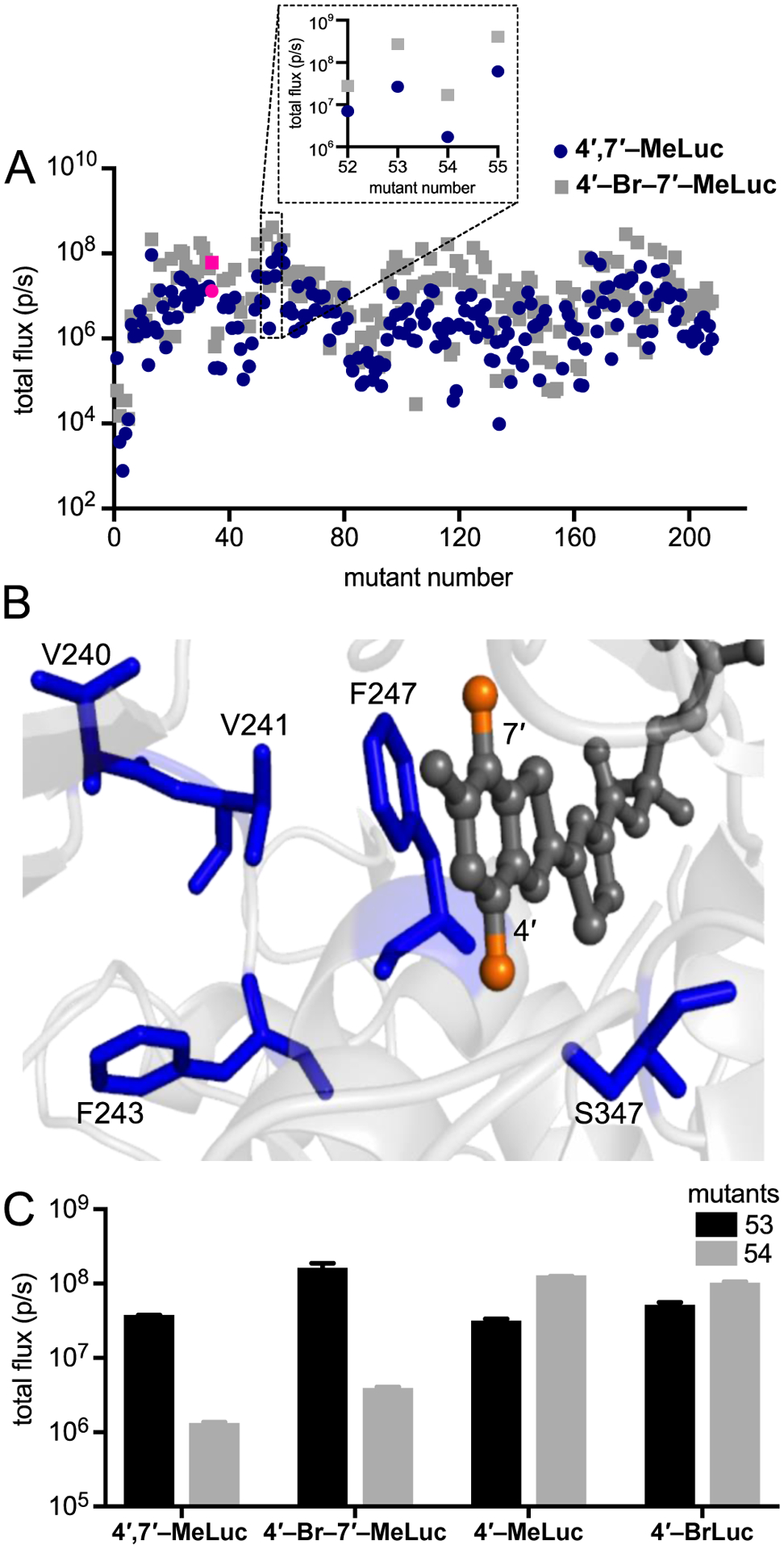 Figure 3.